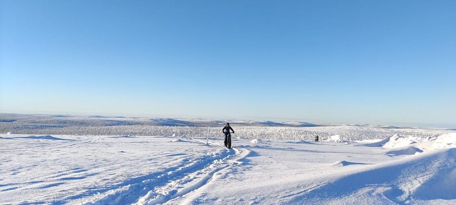 Saariselkä: Guided Fatbike Tour - Forest trails for an easier introduction