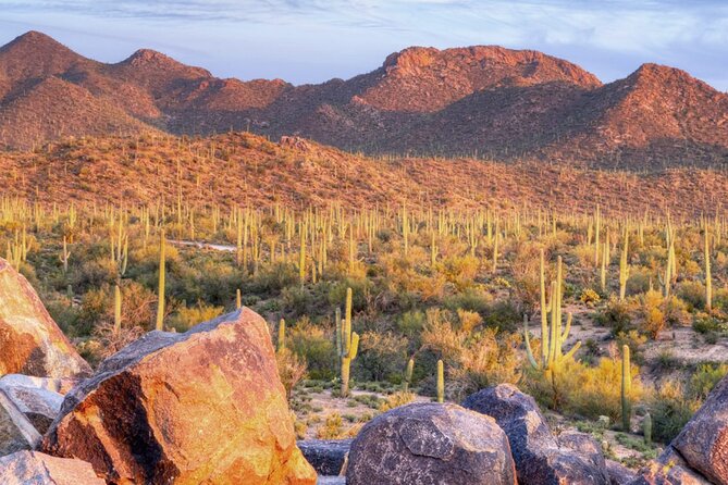 Saguaro National Park East E-Bike Tour - How hard is the ride?