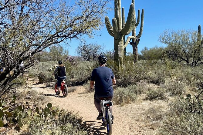 Saguaro National Park East E-Bike Tour - Weather, water, and clothing in the Sonoran Desert