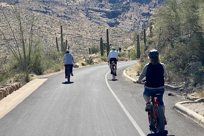 Saguaro National Park East E-Bike Tour - Who should book this Tucson bike tour?