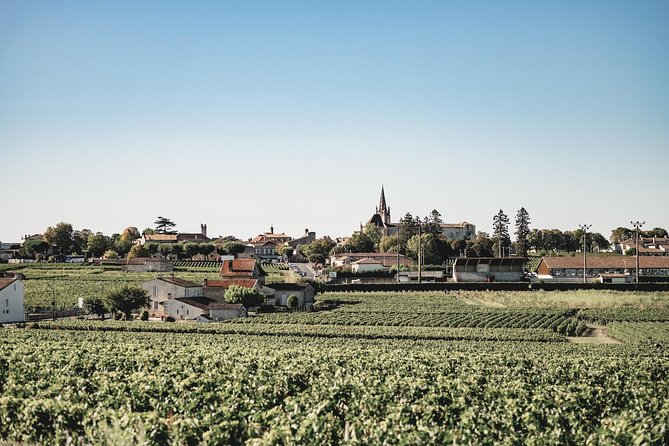 Saint-Emilion Electric Bike Day Tour with Wine Tastings & Lunch - Rain plans and what they mean