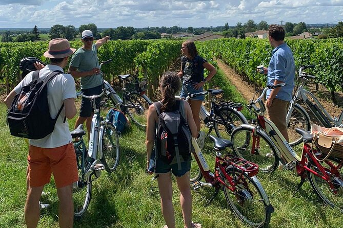 Saint Emilion Full Day Wine and Bike Tour - A second estate with a family-run feel