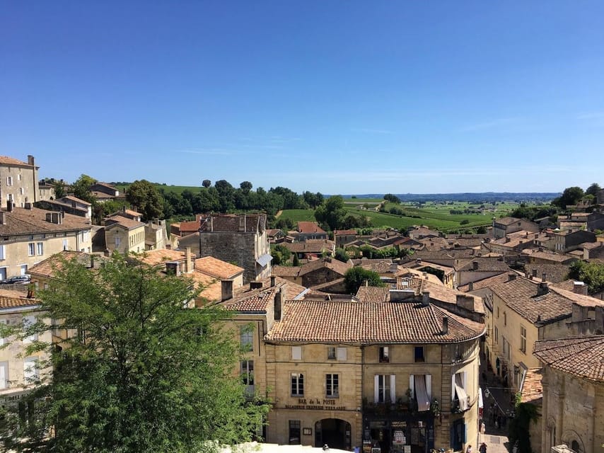 Saint Emilion Wine and Bike Tour - The family-owned estate in the afternoon