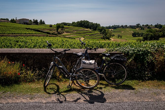 Saint Emilion Wine Tour by E-Bike- Bordeaux Pick up and drop off - Leaving Bordeaux for the vineyards