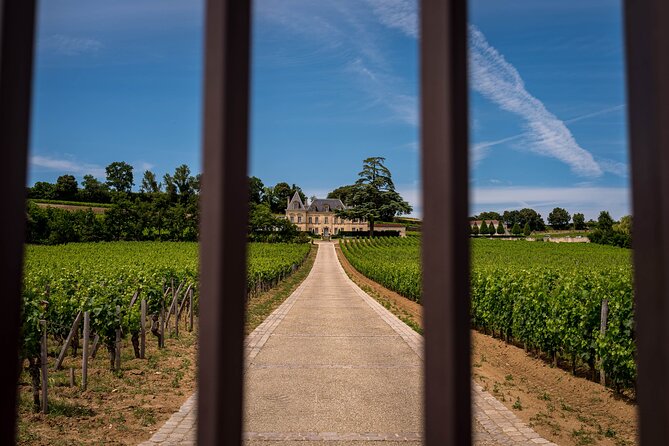 Saint Emilion Wine Tour by E-Bike- Bordeaux Pick up and drop off - A French picnic above the vines
