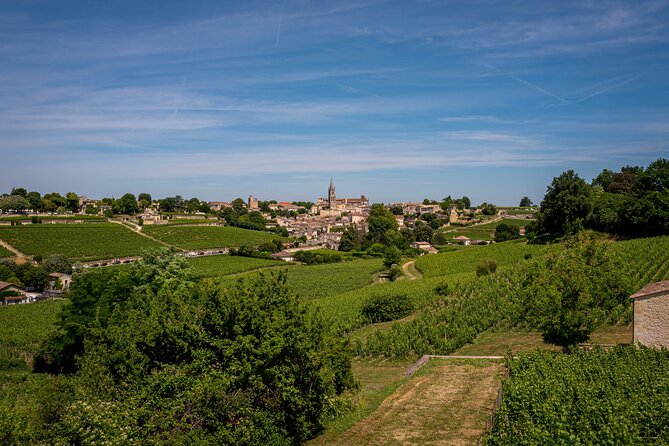 Saint Emilion Wine Tour by E-Bike- Bordeaux Pick up and drop off - Riding through Saint-Émilion’s wine country