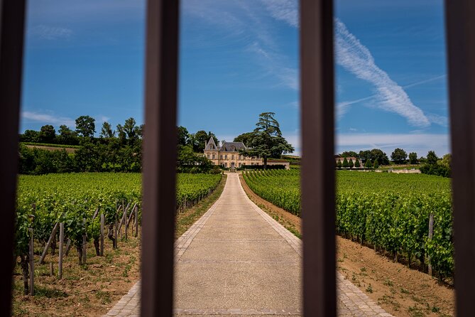 Saint-Émilion Wine Tour By Premium Electric Bike, Lunch Included - Château Coutet and 400 years of family wine