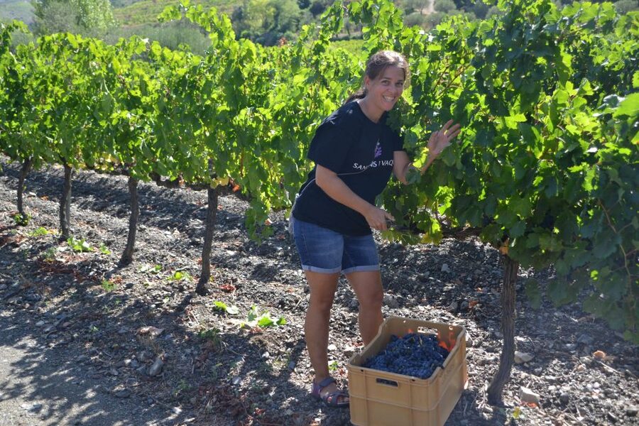 Salou: Easy Bike Tour with Wine Tasting - Inside Sangenis i Vaque, a family winery