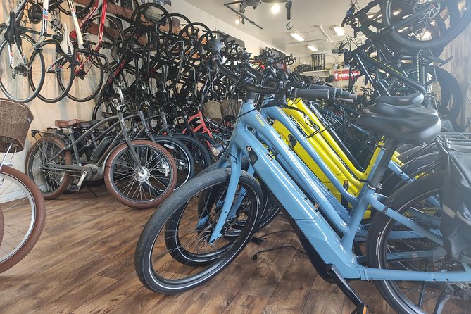 Santa Barbara Bike Rentals: Electric, Mountain or Hybrid - Mountain Bikes and the Santa Ynez Mountains