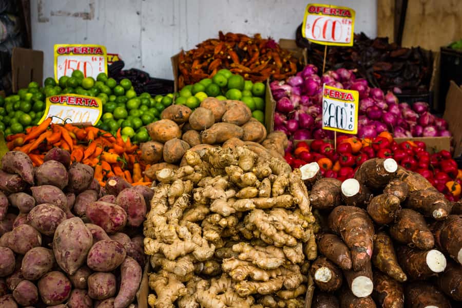 Santiago: Markets Bike Tour - Parque Forestal and the Mapocho River