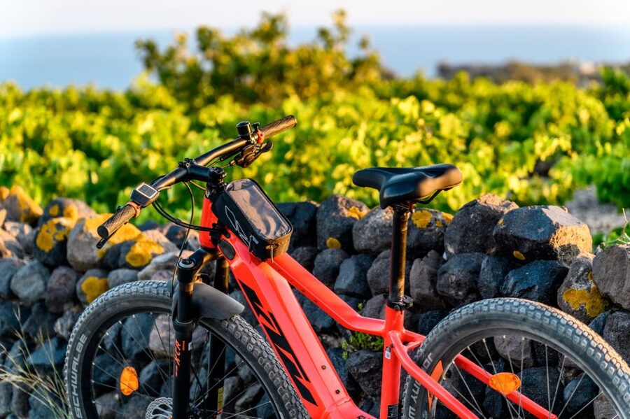 Santorini e-bike guided tours - Windmills: a quick scenic pause