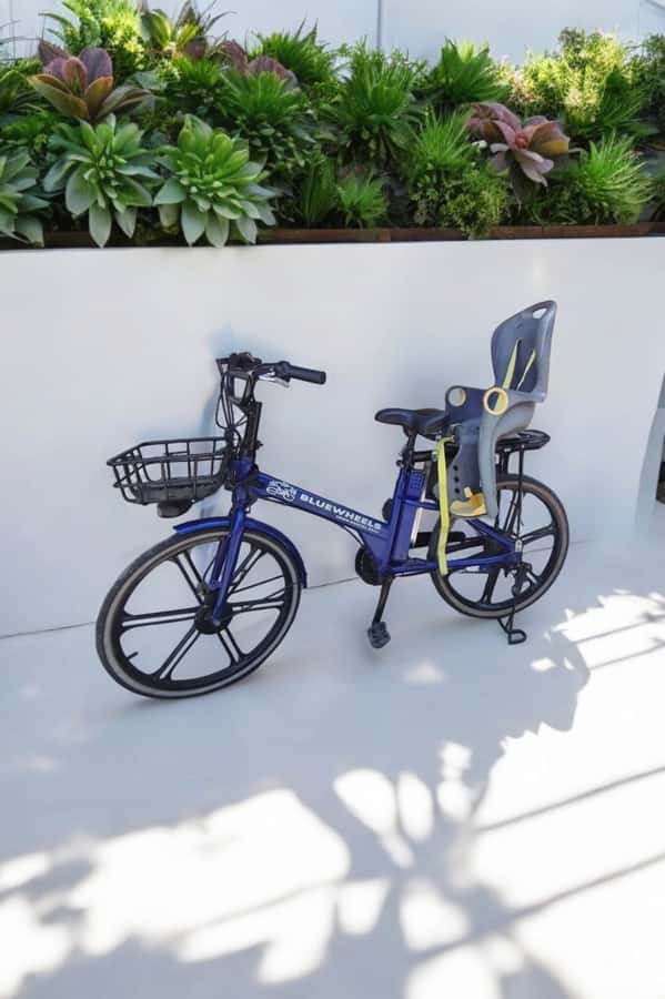 Sanur Village E-bike Tour: Family-Friendly Adventure - Who Will Enjoy This Ride Most?