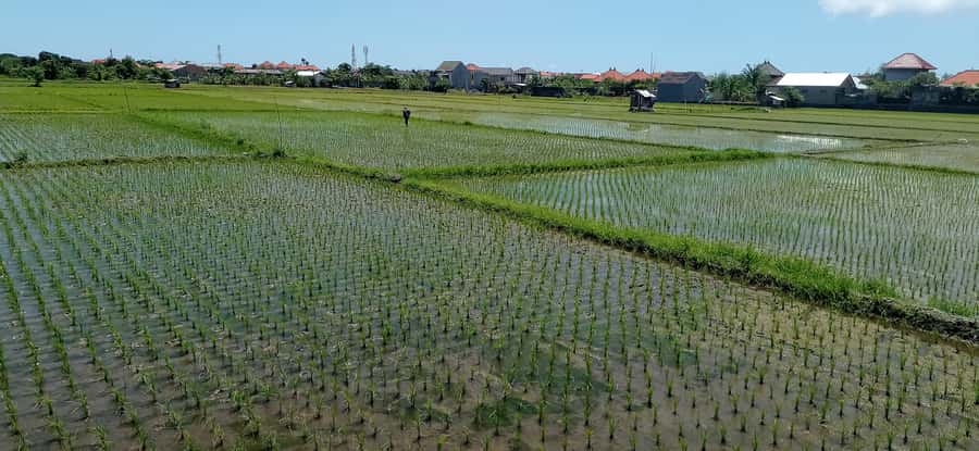 Sanur Village E-bike Tour: Family-Friendly Adventure - Is the $47 Price Good Value?