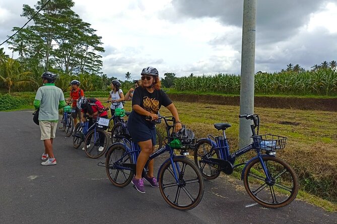Sanur Village E-bike Tour: Family-Friendly Adventure - Mangroves, Crabs, and a Quiet Temple