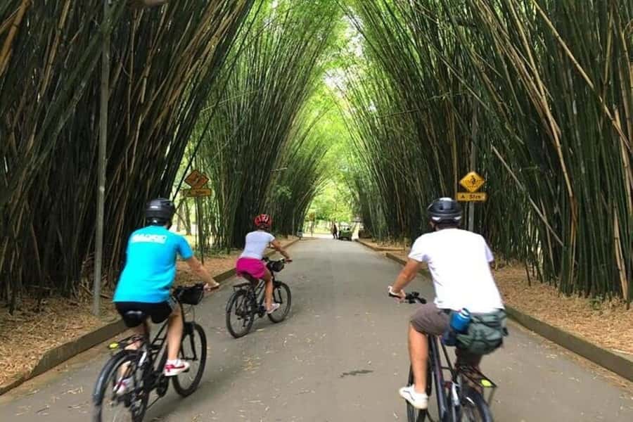 Sao Paulo: The Coolest Urban Scenes Bike Tour - Jardins, where São Paulo gets polished