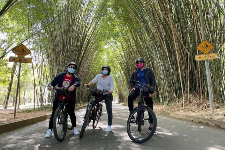 Sao Paulo: The Coolest Urban Scenes Bike Tour - A relaxed ride that still counts as exercise