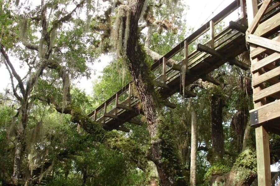Sarasota: Myakka State Park E-bike Safari Experience - Practical details before you book