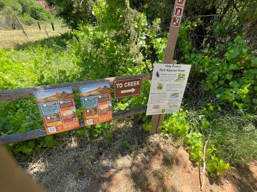 Sedona: Cathedral Rock Vortex E-Bike Tour - Who should book, and who should skip it