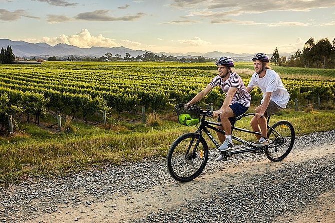 Self-Guided Biking Wine Tour (full day) in the Marlborough Region. - Building your own winery route
