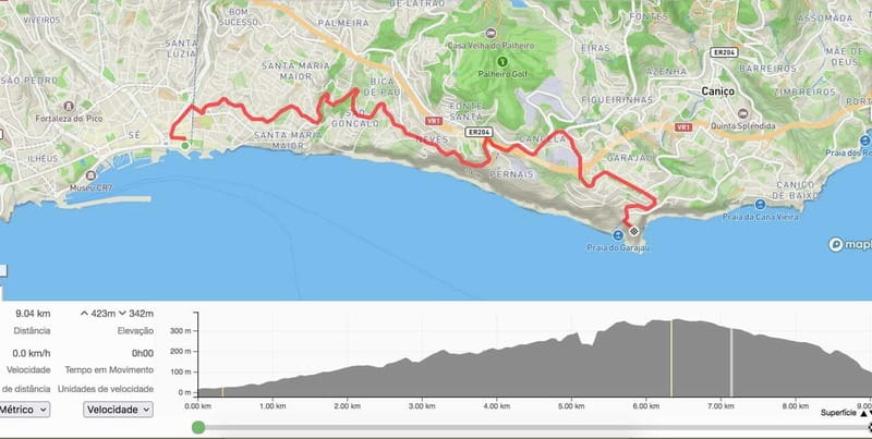 Self-Guided E-Bike Road Tour from Funchal to Garajau - Assisted climbs, narrow roads, and real traffic