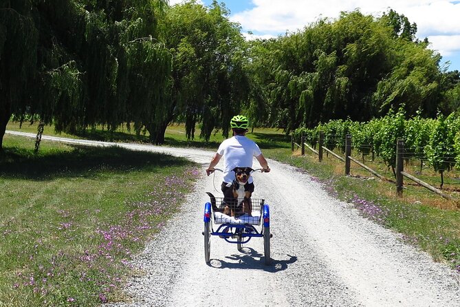 Self-Guided Wine Tours by Bike with Lorelle & Greg - Building a six-hour cellar-door route