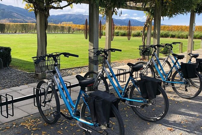 Self-Guided Wine Tours by Bike with Lorelle & Greg - Comfort, pace, and the practical side of cycling