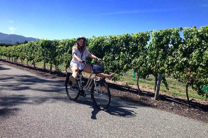 Self-Guided Wine Tours by Bike with Lorelle & Greg - Is $43.44 good value?