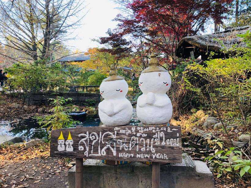 Seoul: Alpaca, Nami, Morning Calm or Eobi (+Rail Bike) - Nami Island gives you the most room to wander