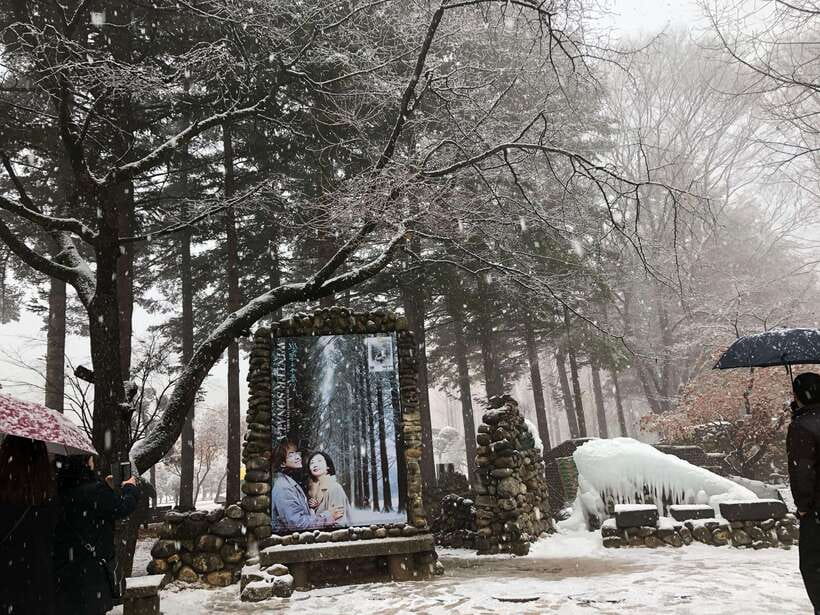 Seoul: Alpaca, Nami, Morning Calm or Eobi (+Rail Bike) - Eobi Ice Valley is short, cold, and highly seasonal