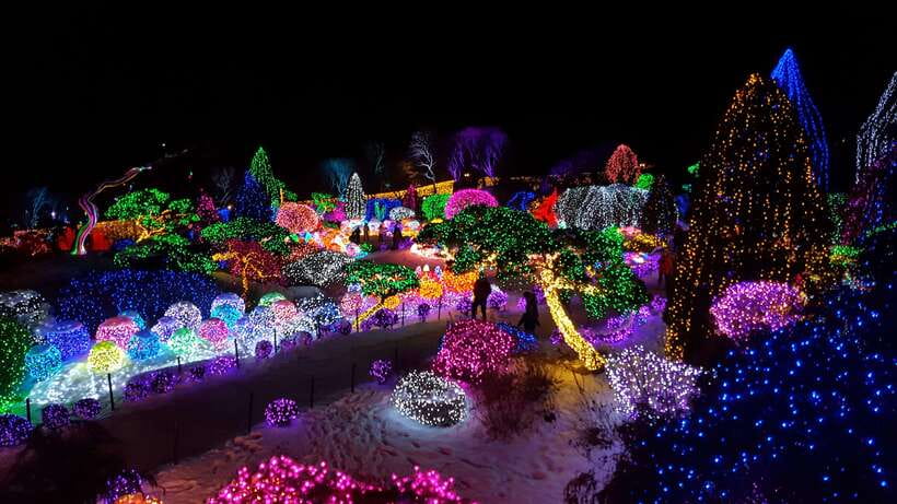 Seoul: Alpaca, Nami, Morning Calm or Eobi (+Rail Bike) - What to eat and how to handle the breaks