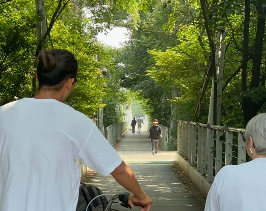 Seoul: Urban Nature Bike Tour along Han River - Why this Han River bike ride works so well