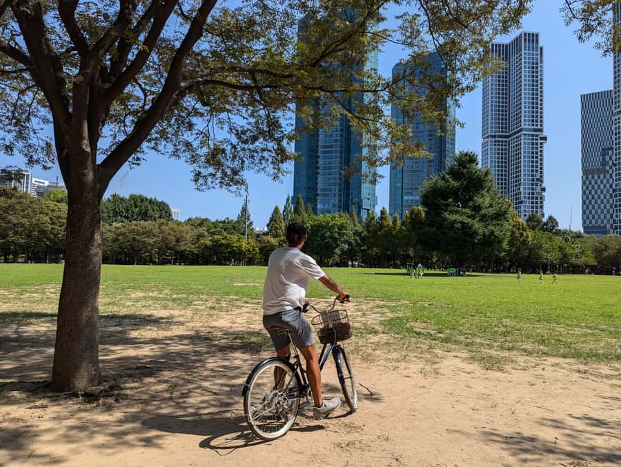 Seoul: Urban Nature Bike Tour along Han River - The local market and a taste of daily Seoul