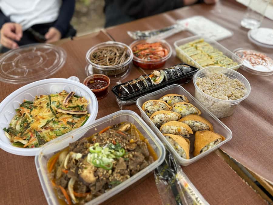 Seoul: Urban Nature Bike Tour along Han River - Finishing with a Han River picnic