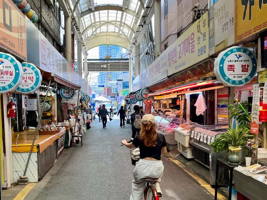 Seoul: Urban Nature Bike Tour along Han River - What Koa adds to the experience