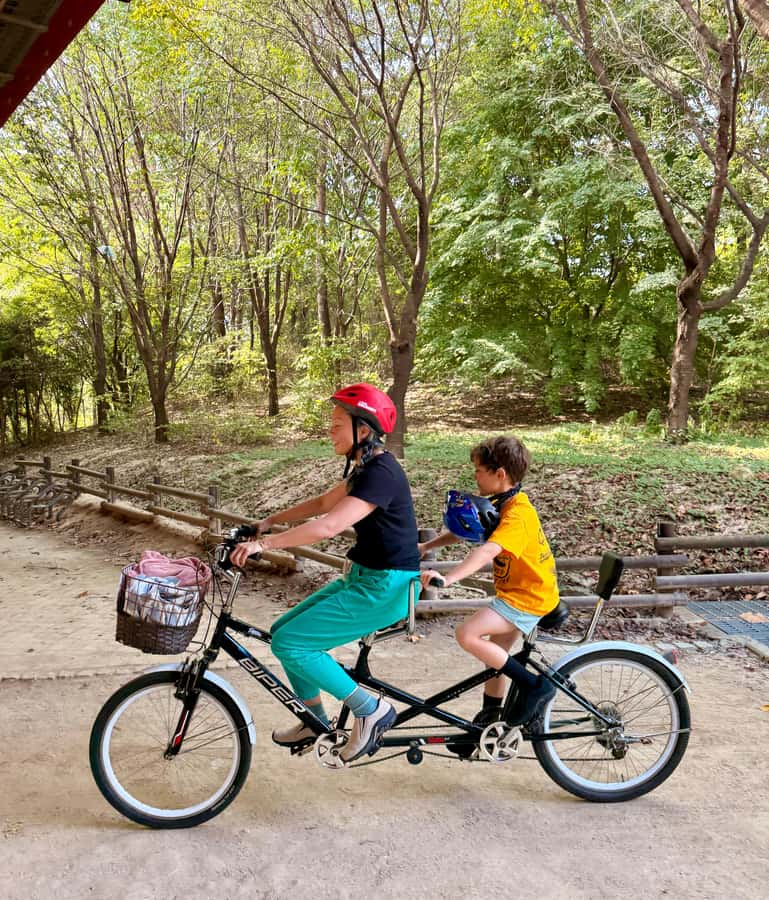 Seoul: Urban Nature Bike Tour along Han River - Starting at Jayang Station and Ttukseom Park