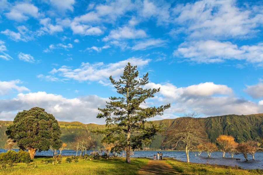 Sete Cidades Bike Rental - Your first few minutes at Futurismo