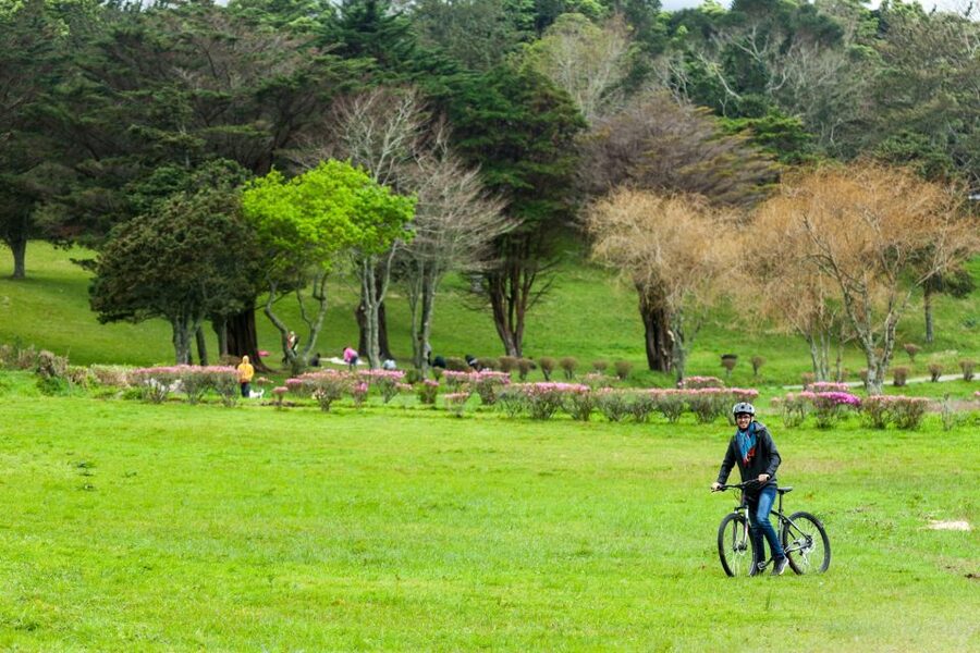 Sete Cidades: Kayaking and Biking Adventure - Who will enjoy this Sete Cidades outing