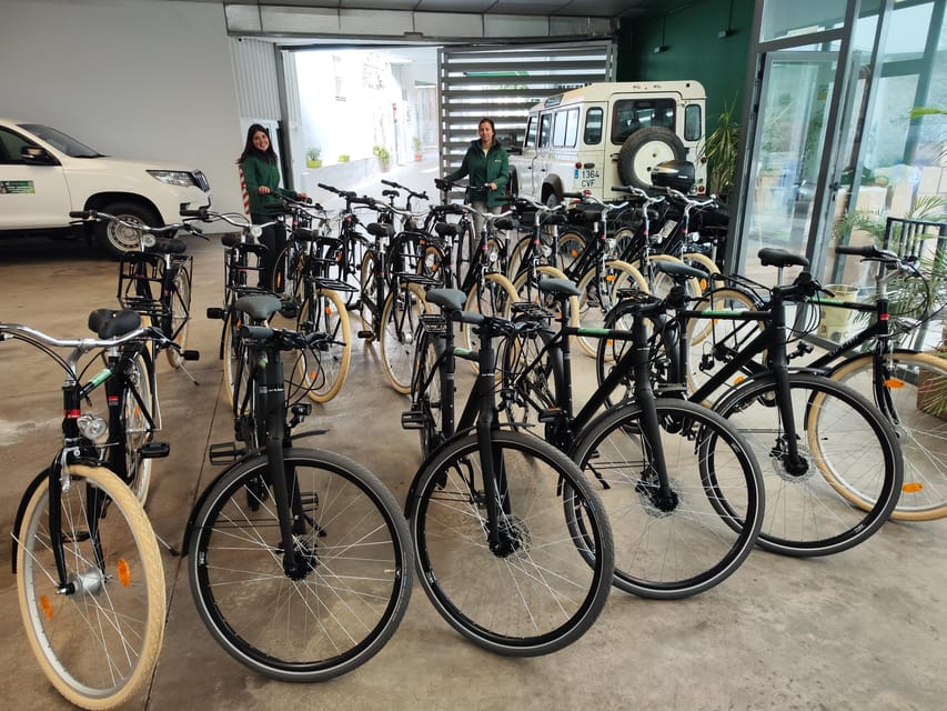 Seville: Bike Rental - Picking the right rental length