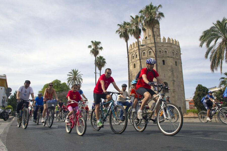 Seville City Bike Tour: Top Seville's Monuments - What the $40 price buys you