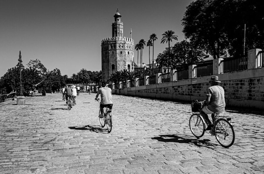 Seville: City Sightseeing and Local Culture Bike Tour - San Telmo Palace and the grand center