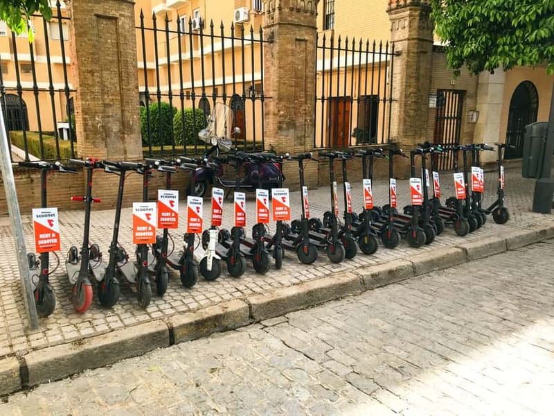 Seville: Electric Bike City Tour - What the guides add to the experience