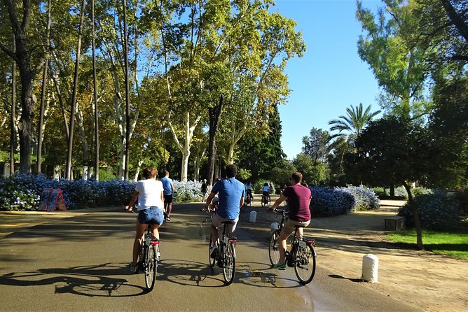 Seville Electric Bike Tour - Small Group - Triana, flamenco, and the craft traditions across the river
