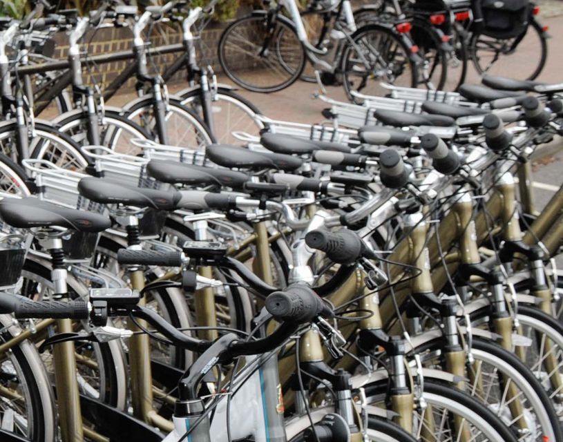 Seville: Guided Tour by Electric Bike - Why an electric bike works so well in Seville