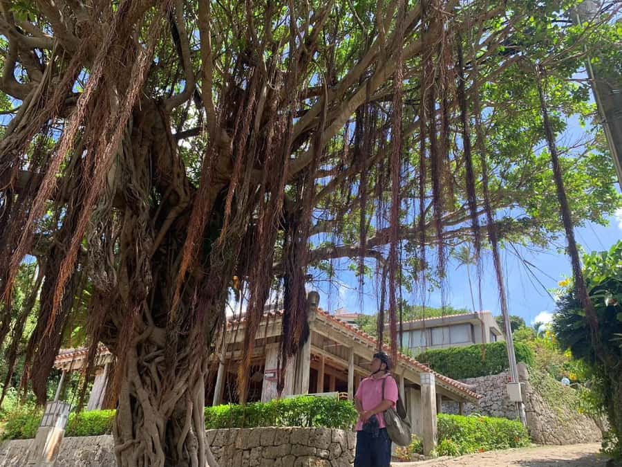 Shuri+Naha: Cycling Tour Explore Water Heritage with E-Bike - Key points at a glance