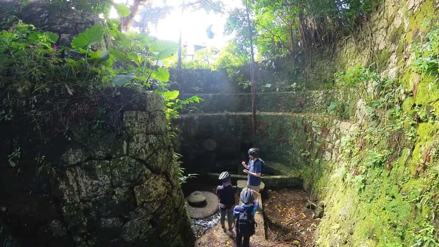 Shuri+Naha: Cycling Tour Explore Water Heritage with E-Bike - A taste of the Ryukyu royal table