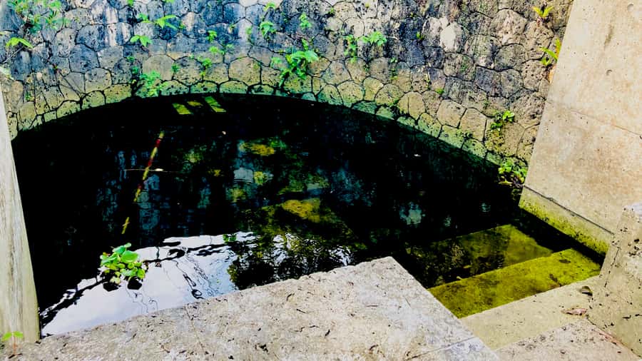 Shuri+Naha: Cycling Tour Explore Water Heritage with E-Bike - The hilltop view and the easy ride back
