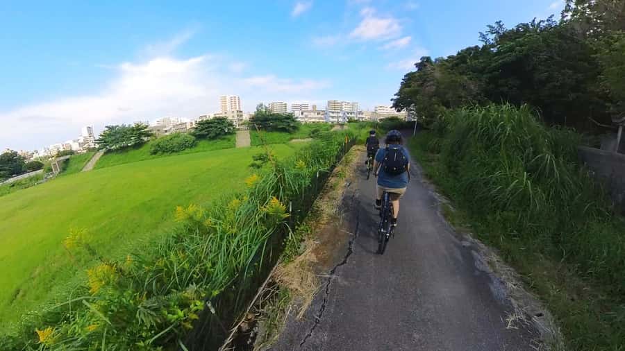 Shuri+Naha: Cycling Tour Explore Water Heritage with E-Bike - Who will enjoy this three-hour ride