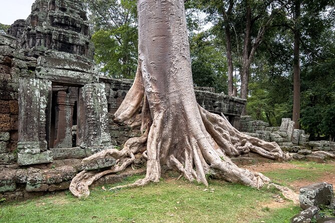 Siem Reap: Angkor Wat Sunrise Bike Tour & Jungle Breakfast - The Elephant Terrace and the road through the old capital