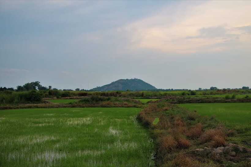 Siem Reap: Countryside Cycle and Local Village Life Tour - A sunset at the lotus field