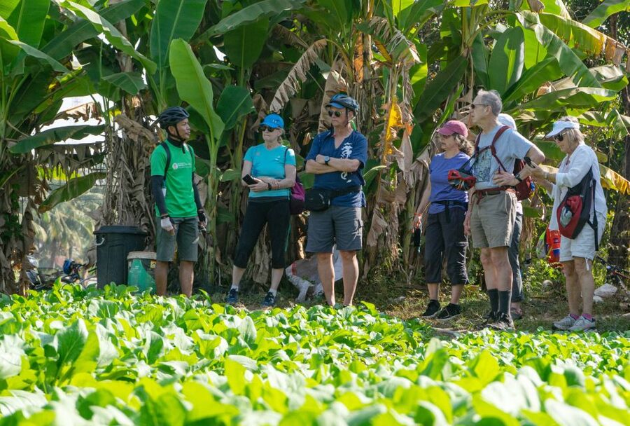 Siem Reap: Guided Countryside Bike Tour - Who should book this countryside ride